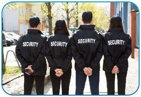 Security support team standing on duty